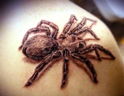 Наколки пауков. Значение тату Паук - татуировки насекомых